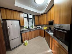 Valley Park (D10), Condominium #574033831